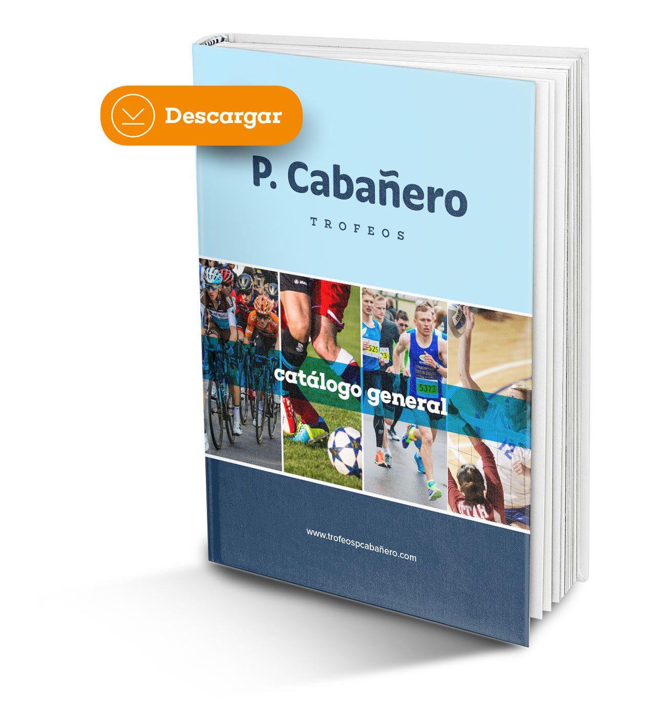 Catálogo trofeos deportivos en Aldaia (Valencia)